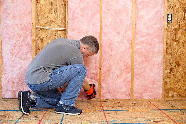 Best Residential Insulation in Flat Rock, MI